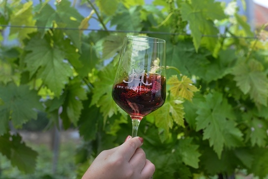 Pinot Noir vinarije Mikić najbolje ocenjen Pinot Noir u Srbiji