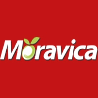 MORAVICA DOO ARILJE