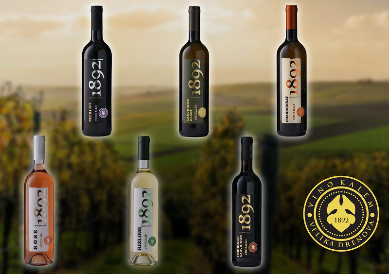 6-vina-vino-kalem 6-vina-vino-kalem