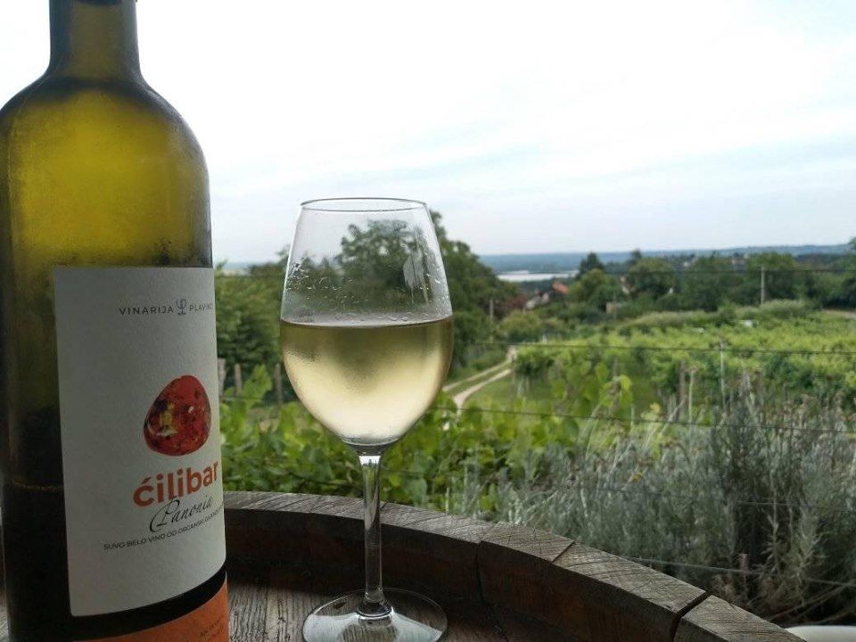 belo_vino_cilibar
