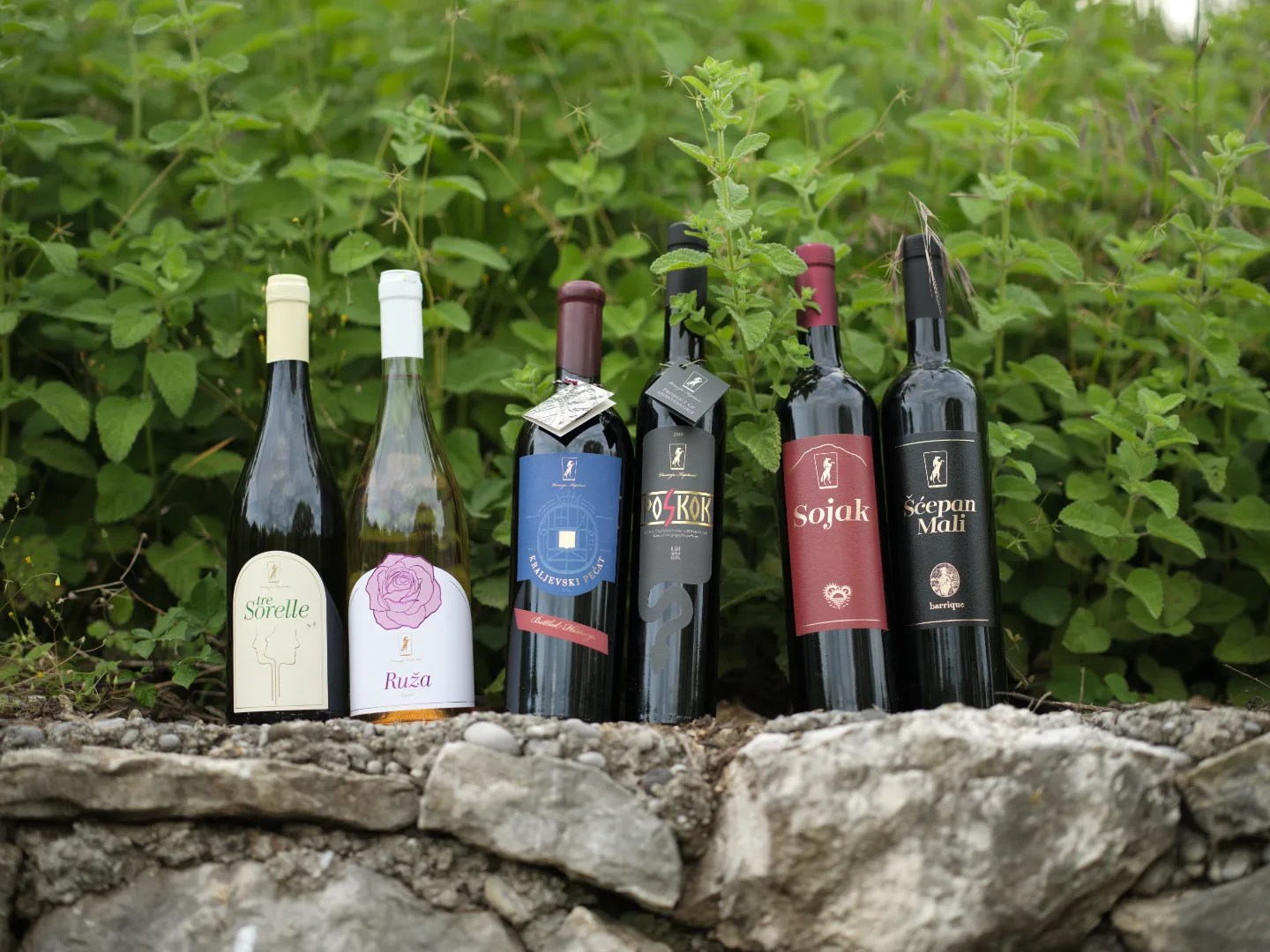 crmnicka-vina-kopitovic crmnicka-vina-kopitovic