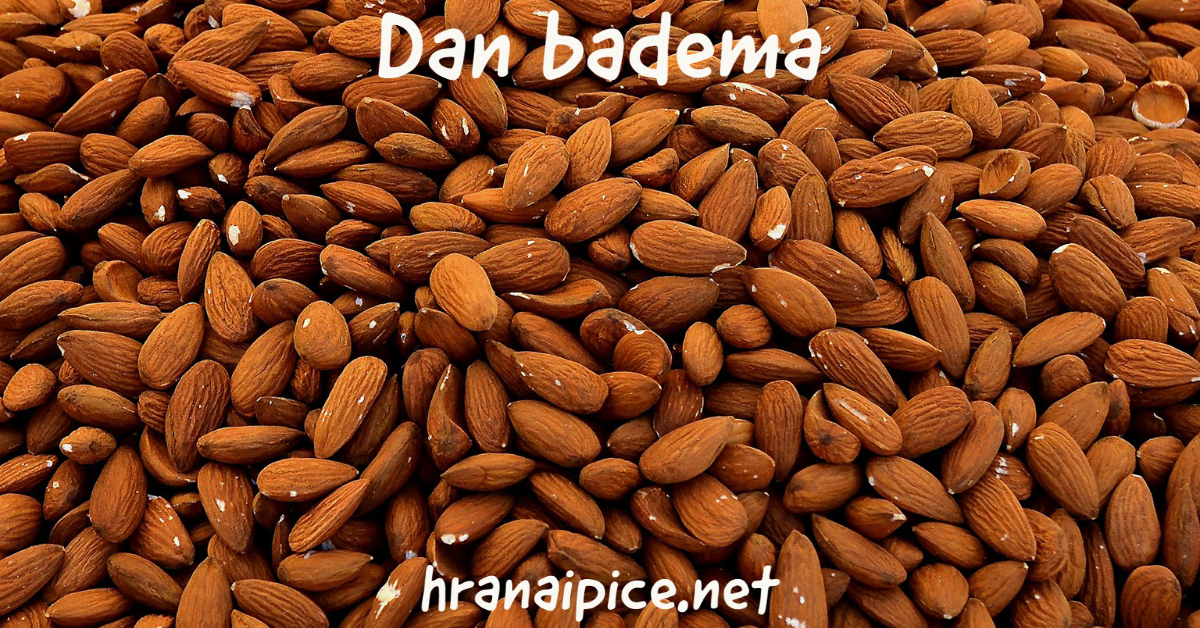 dan-badema dan-badema