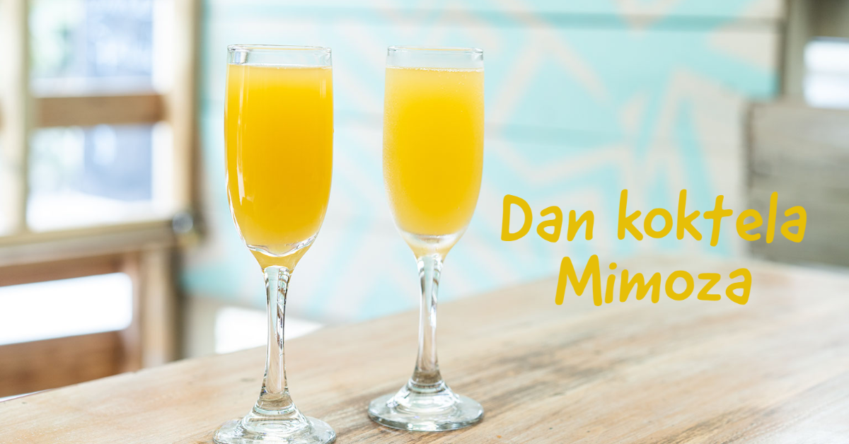 dan-koktela-mimoza dan-koktela-mimoza