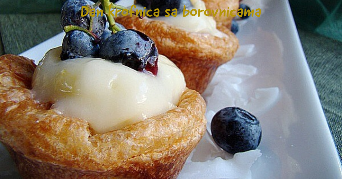 dan-krofnica-sa-borovnicama