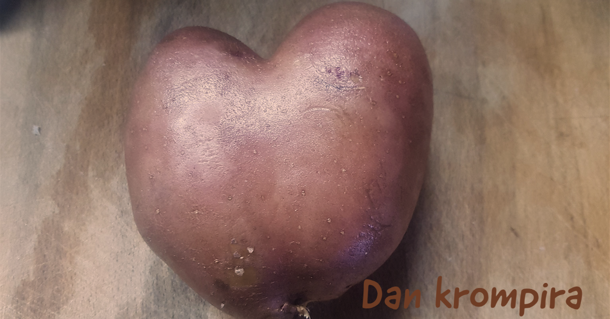 dan-krompira