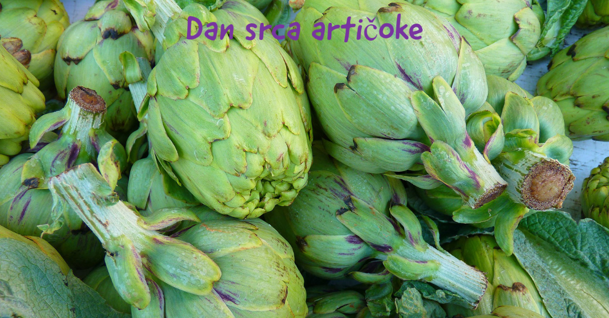 dan-srca-articoke dan-srca-articoke