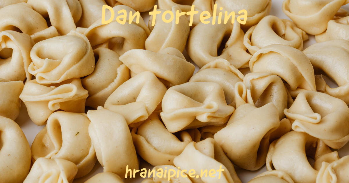 dan-tortelina