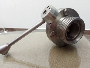 leptir_slavina_za_mlekare_hromos