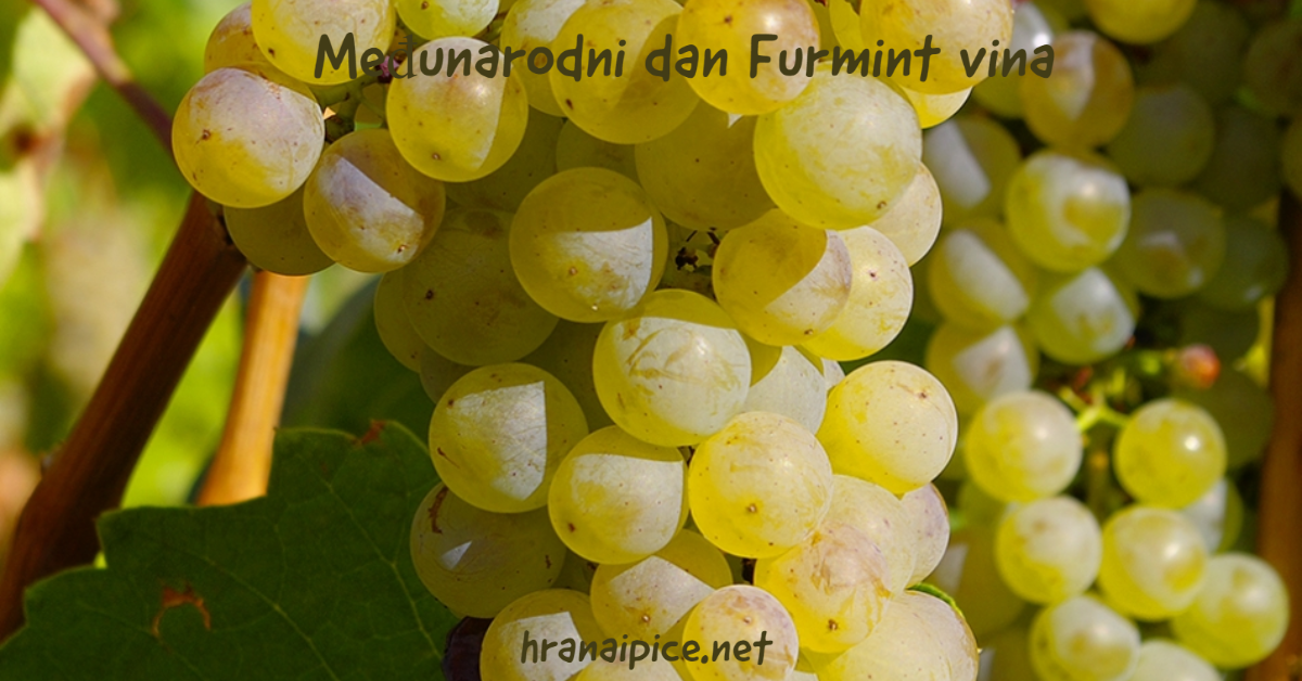 medjunarodni-dan-furmint-vina