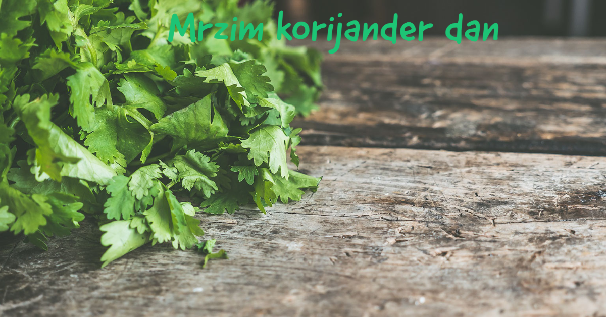 mrzim-korijander-dan mrzim-korijander-dan