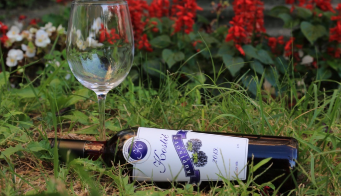 organsko-kupinovo-vino-kostic