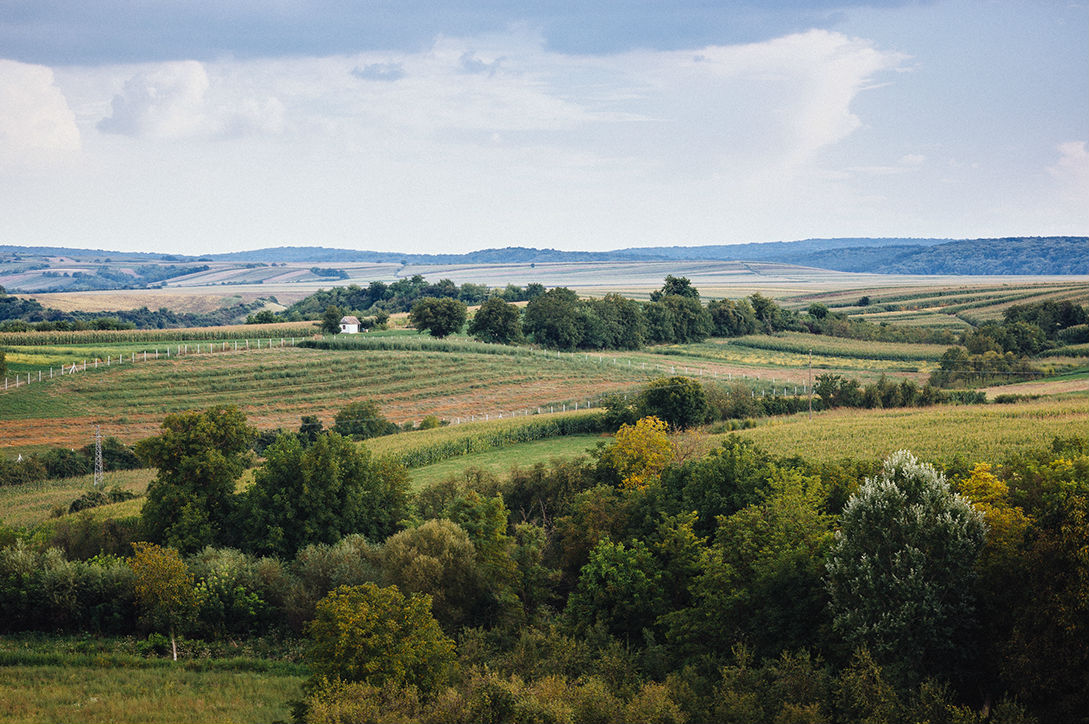panorama_nestin_i_vinogradi_vinarija_tri_medje_i_oblak