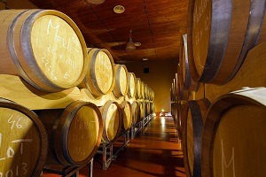 podrum_vinarije_briindza podrum_vinarije_briindza