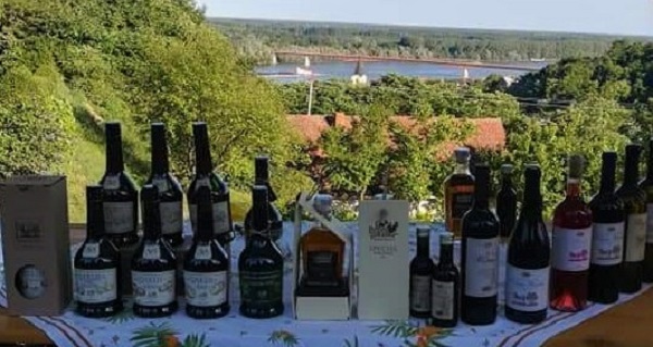 vina-i-rakije-vinarija-benisek-veselinovic