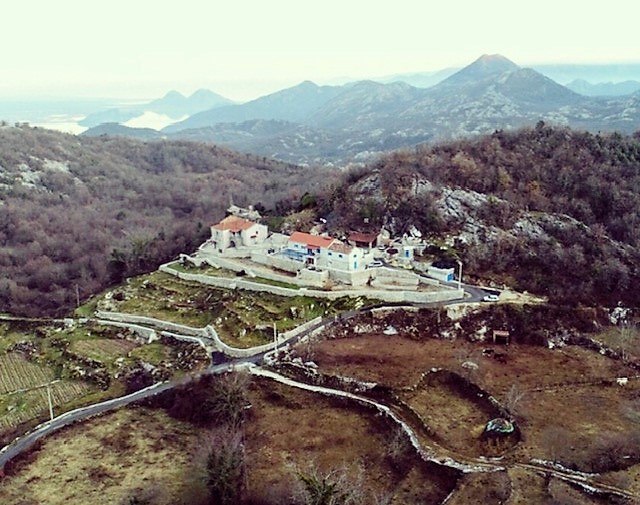 vina-rakcevic-3 vina-rakcevic-3