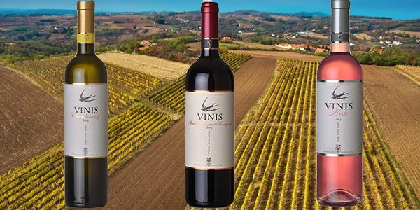 vina-vinarija-vinis
