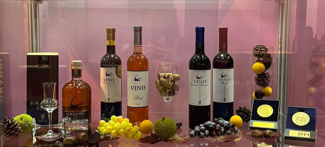 vina-vinis-2