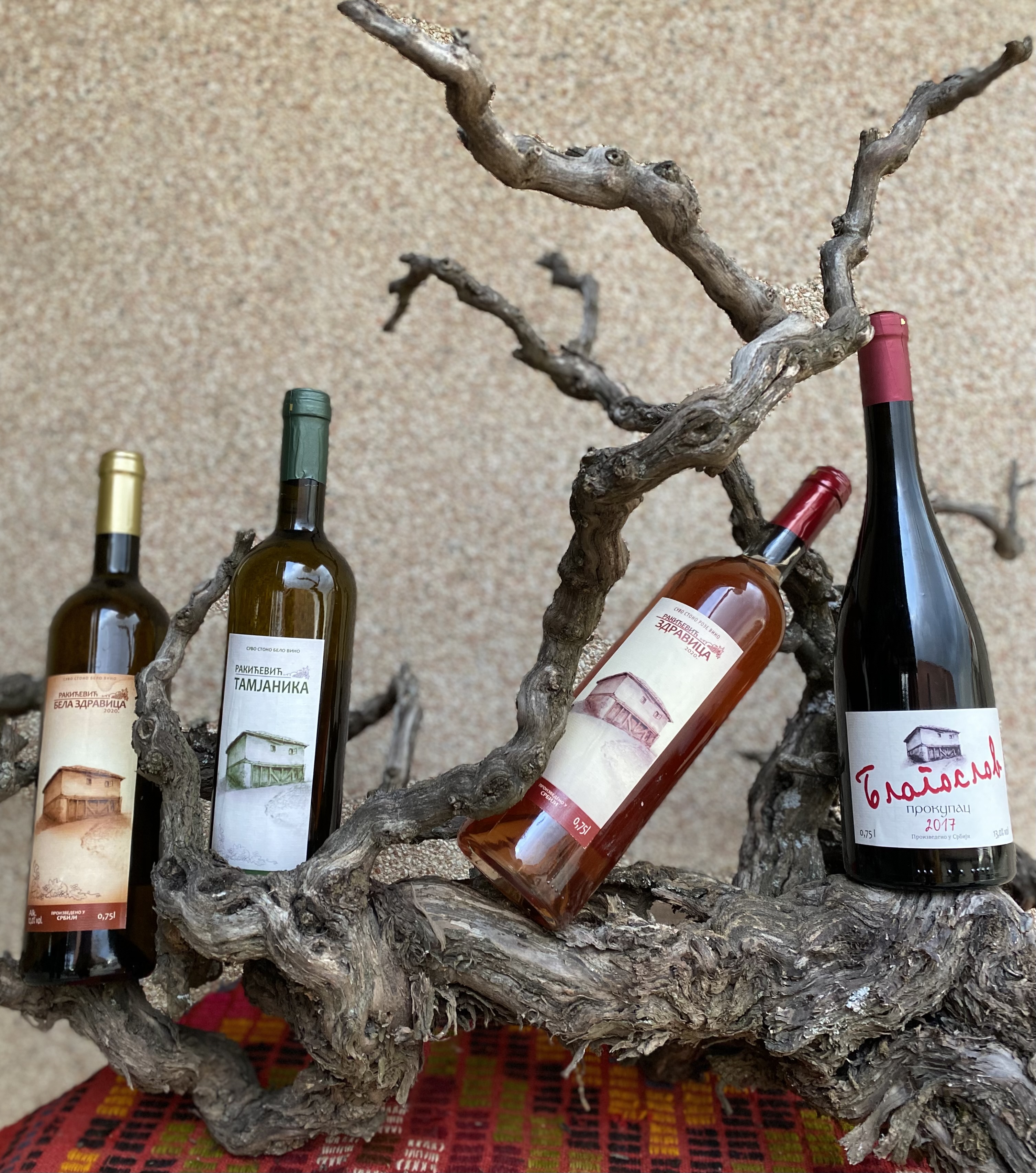 vina-vinska-kuca-rakicevic vina-vinska-kuca-rakicevic