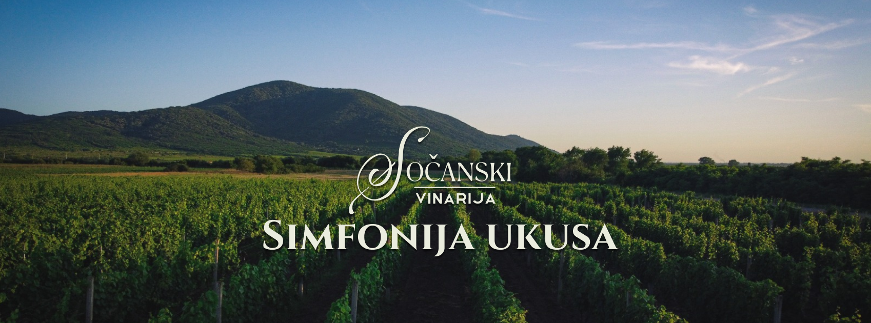vinarija-socanski-simfonija-ukusa vinarija-socanski-simfonija-ukusa