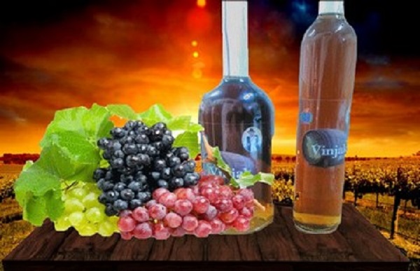 vinjak-vinarija-aleks