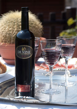 vrhunsko_crveno_vino_di_vine_proizvodjac_vinarija_rupice