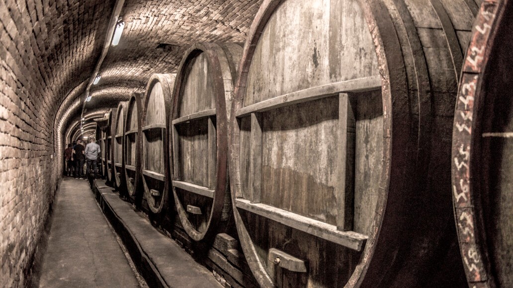 vinski_podrum_vinarija_in_ilic_nijemcevic